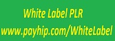 White Label PLR Products From The Handyman To Know 